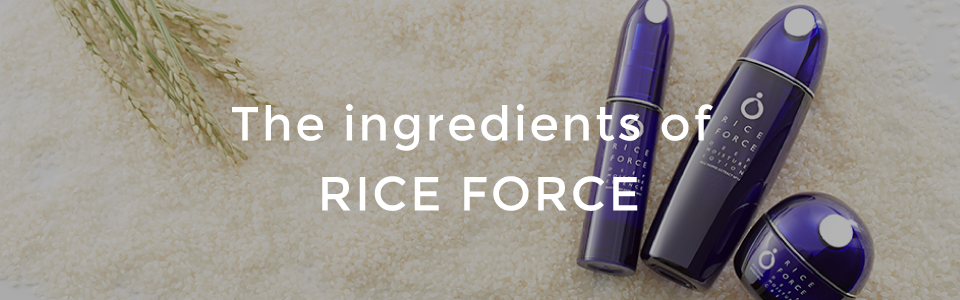 The ingredients of RICE FORCE