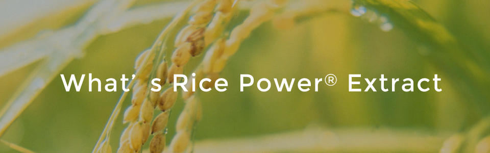 What’s Rice Power® Extract