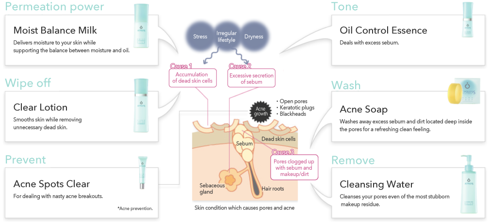 Permeation power, Wipe off, Prevent, Tone, Wash, Remove