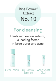 Rice Power® Extract No. 10