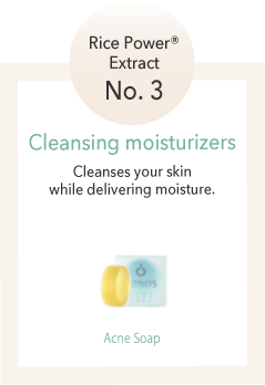 Rice Power® Extract No. 3