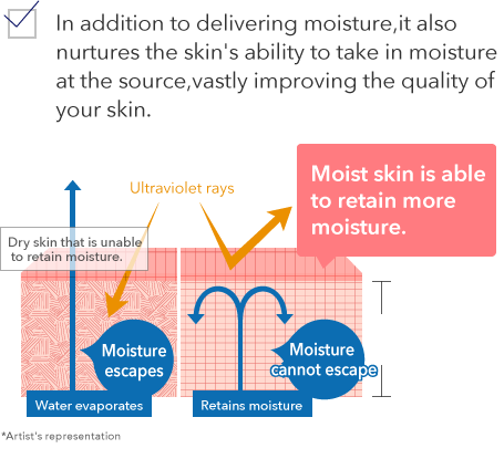 In addition to delivering moisture,it also nurtures the skin's ability to take in moisture at the source,vastly improving the quality of your skin.